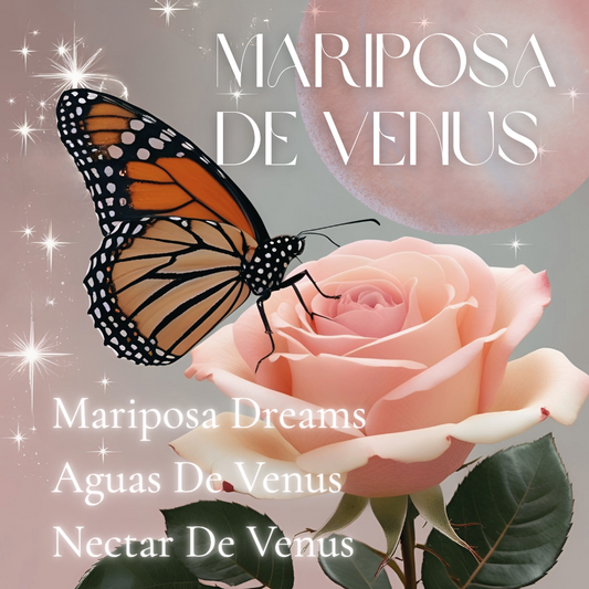 Mariposa De Venus Affirmation Bundle